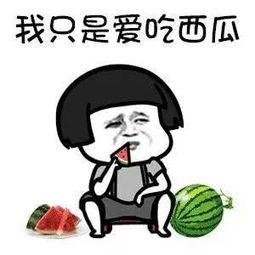 带你吃瓜之娱乐项目