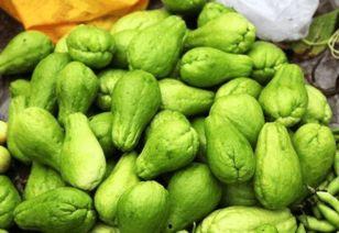 东瓜娱乐吃瓜,揭秘娱乐圈那些吃瓜背后的故事